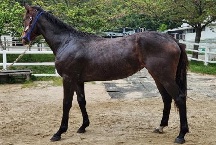 ���̶� ����