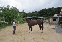 �׷��̽���Ʈ (GRACE ROUTE) ����