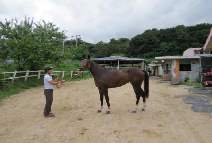 �׷��̽���Ʈ ����