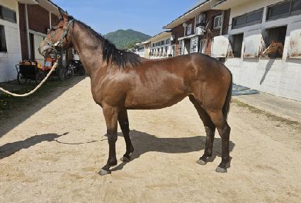 ����ü��ī ����