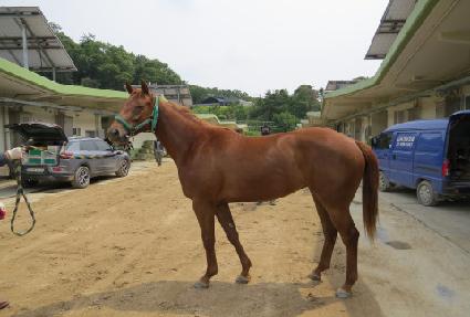 �������� ����