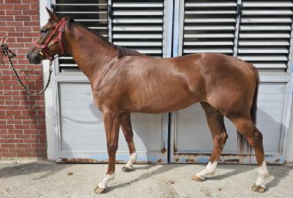 ����Ǯ�ӵ� ����