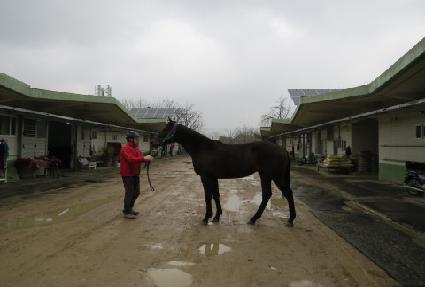 �츶��ġ ����