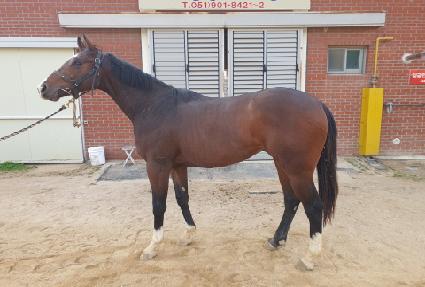 ���ظ��� ����