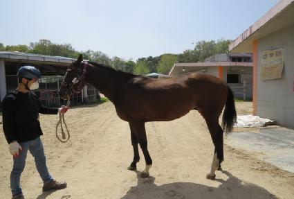 ����õ�� ����