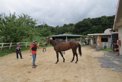 ��Ű�� ����