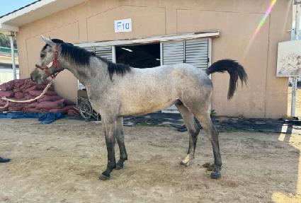 �۷ι����� ����