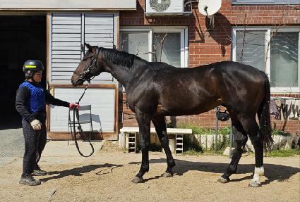 �׶�ũ�� ����