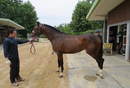 ���� ����