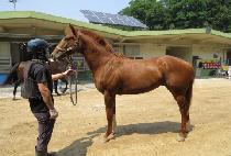 ���� (LA BOY) ����