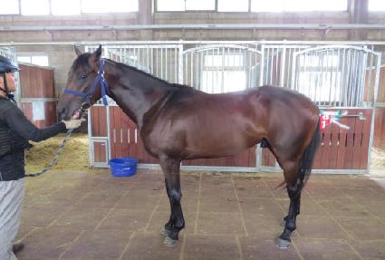 ��缼�̺� ����