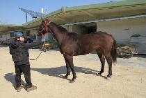 �ǿ�������ũ (PNS WORK) ����