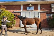 ��ٸ����� (BAEDARI BOSEOK) ����