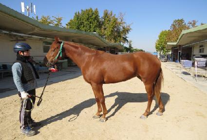 ���ʹ�����Ʈ ����