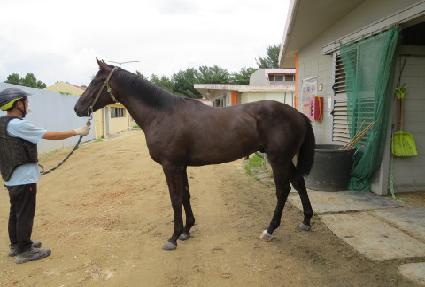 ������� ����