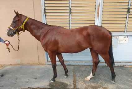 ����� ����