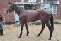 ����Ÿ�� (WIND TIME) ����