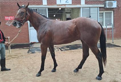 ����Ÿ�� ����