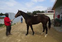 û������ (CHEONGSAN JILJU) ����