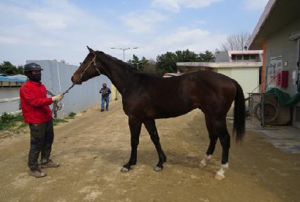 û������ ����