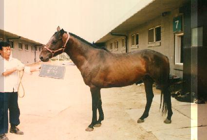 ȿ�� ����