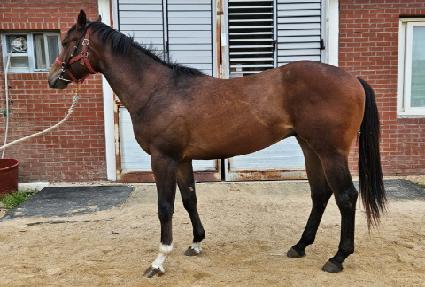 ��ī�̺��� ����