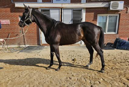 ī�캸�̸� ����