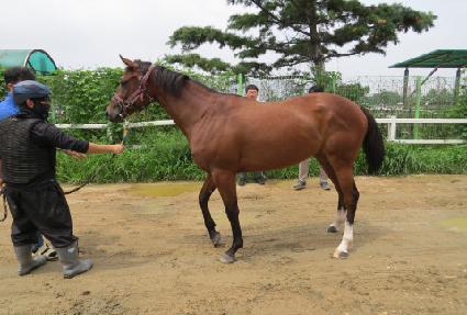 �׳ɰ��� ����