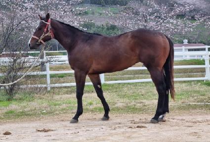 �Ƹ����¾� ����