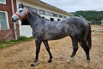 ������Ʈ ����