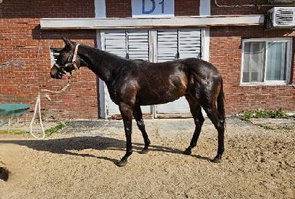 �Ƹ����ǰ� ����