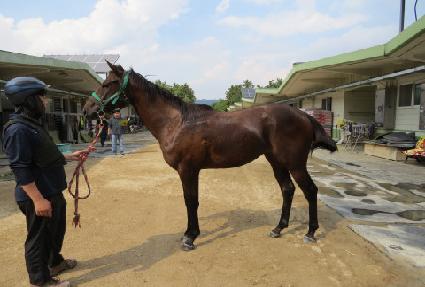 ������ǳ ����