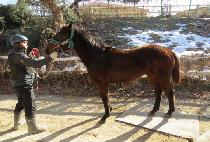 ��ǳ�� (JILPUNG ONE) ����