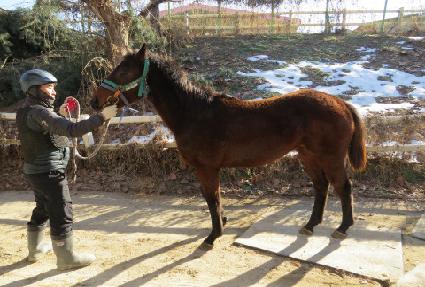 ��ǳ�� ����