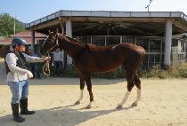 ���ڸ��� (TEN KOREA) ����