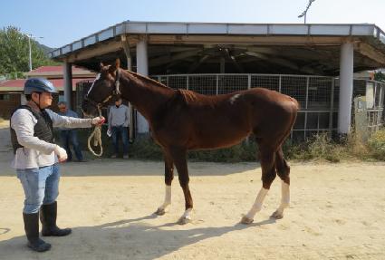 ���ڸ��� ����