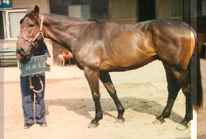 ���۷κ� ����