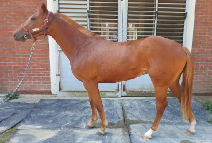 �Ʊ״� ����