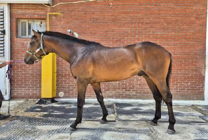 è��ŷ ����