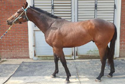 ����Ʈ ����