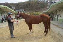 �긮������ (BREEDO OCEAN) ����