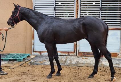 ������ī�� ����