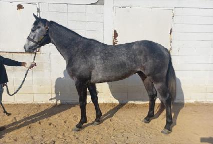 �ݾ��Ҽ� ����