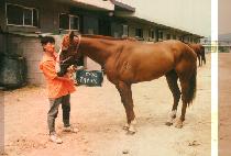 ���罺���� (BLUES POINT) ����