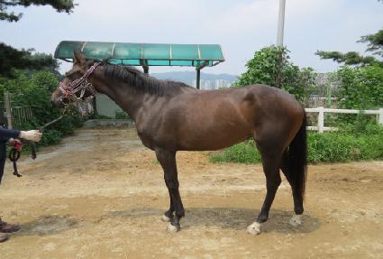 �����Ƴ� ����