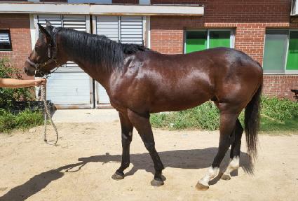 ���ǵ�� ����