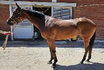 �������̽� (QUEEN SPICY) ����