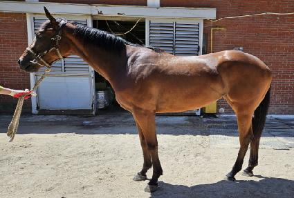 �������̽� ����