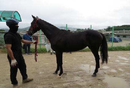 ��ٵ��� ����