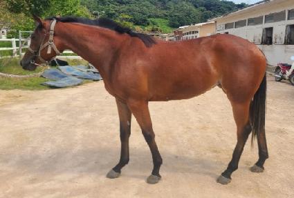 �����ϴ� ����